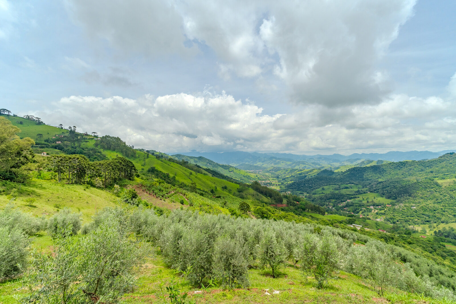 DSC01835-HDR_Easy-Resize.com