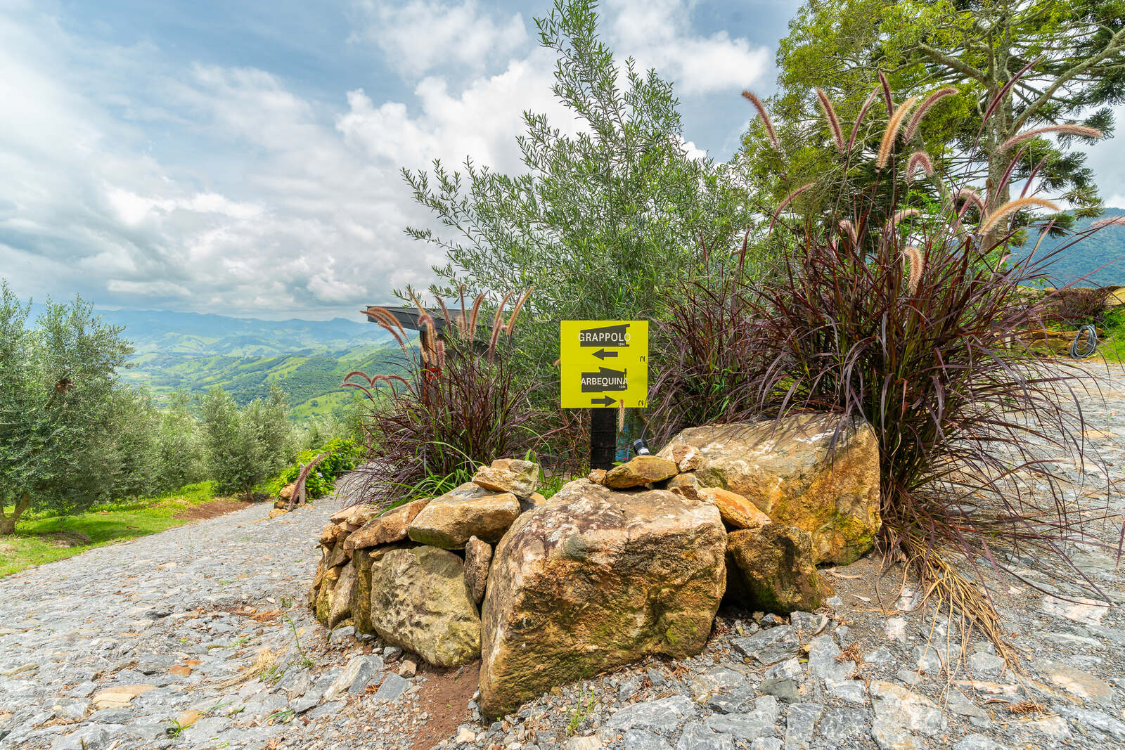 DSC01872_Easy-Resize.com